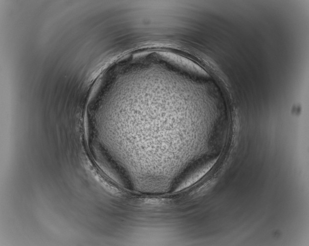 X0000114690985200911121515