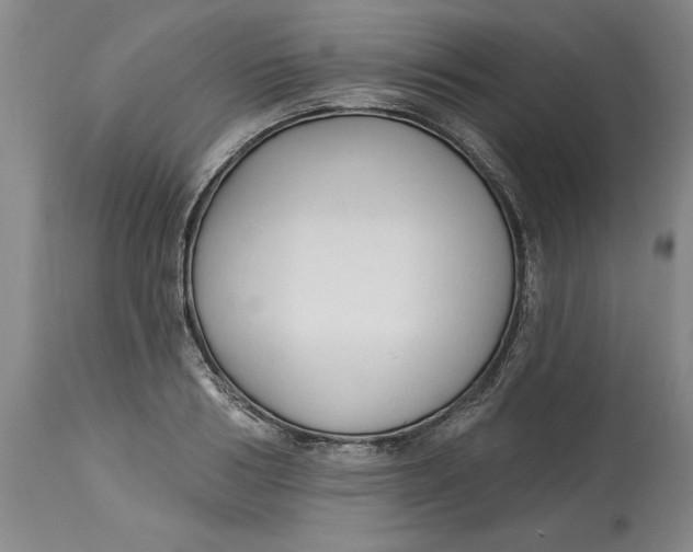 X0000114690986200911121515