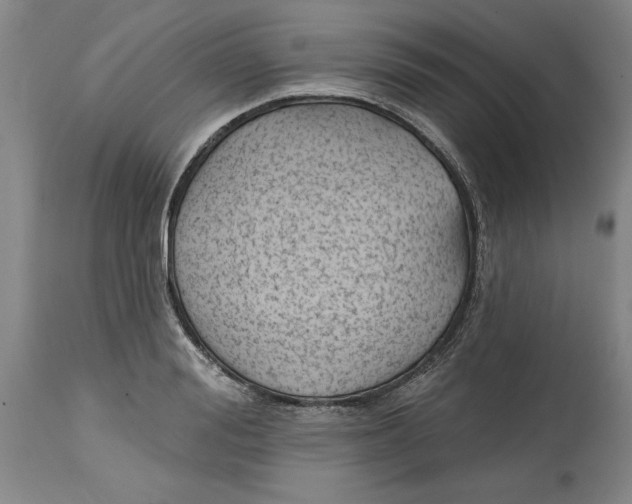 X0000114690988200911121514