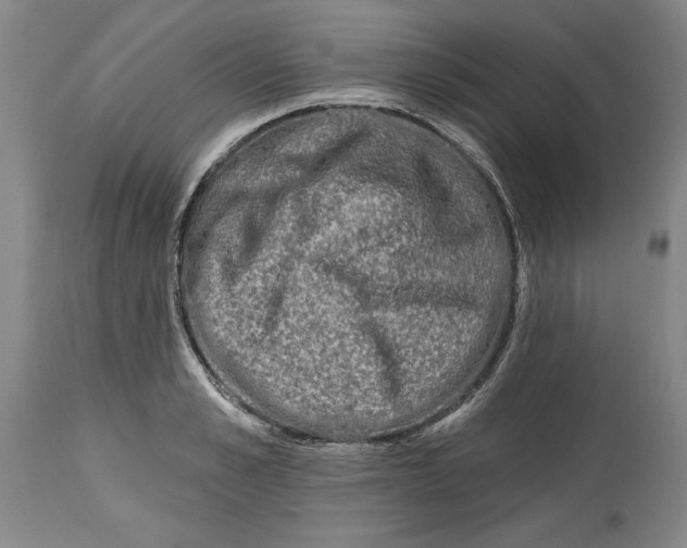 X0000114690989200911121514