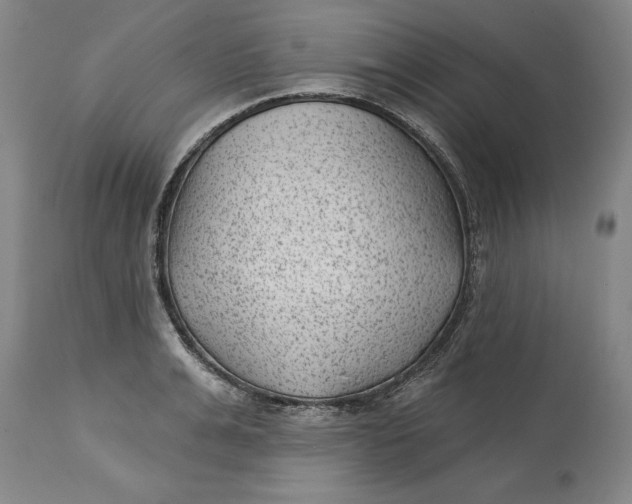 X0000114690991200911121514