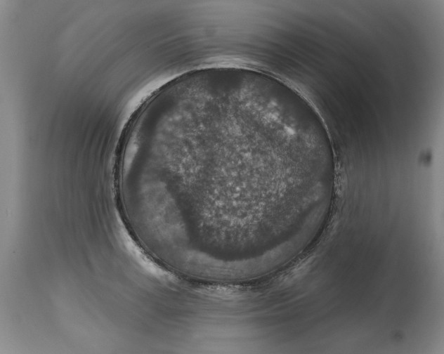 X0000114690995200911121514