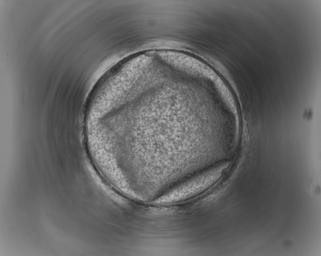 X0000114690997200911121514