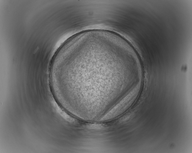 X0000114690998200911121514