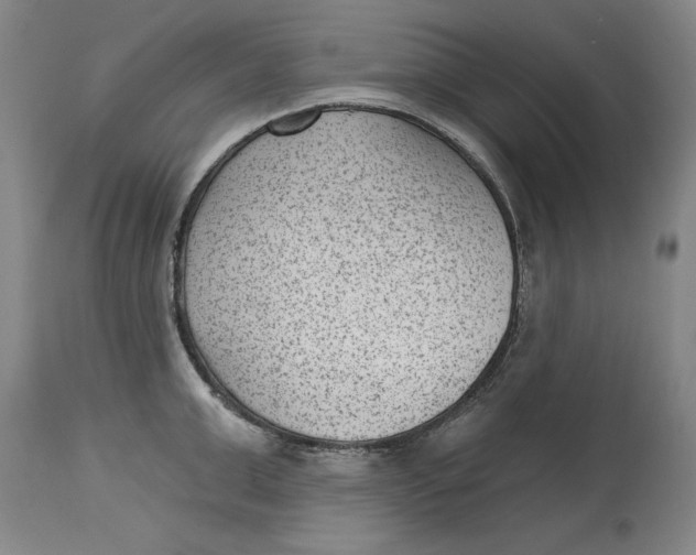 X0000114690999200911121514