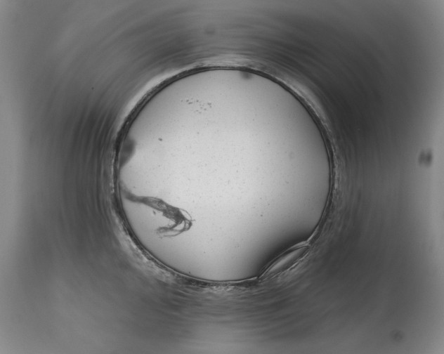 X0000114691000200911121514