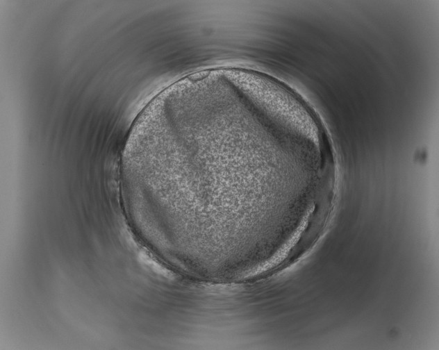 X0000114691001200911121514