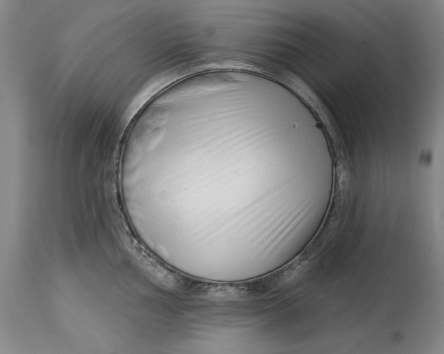 X0000114691002200911121514