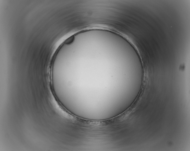 X0000114691003200911121514