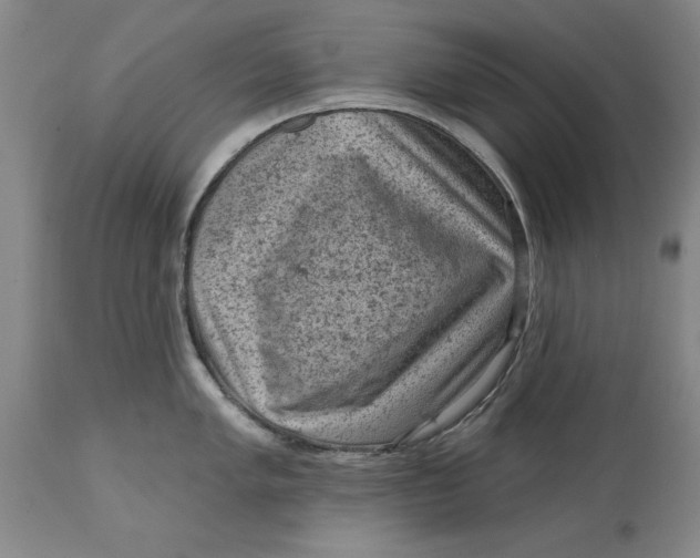 X0000114691005200911121514