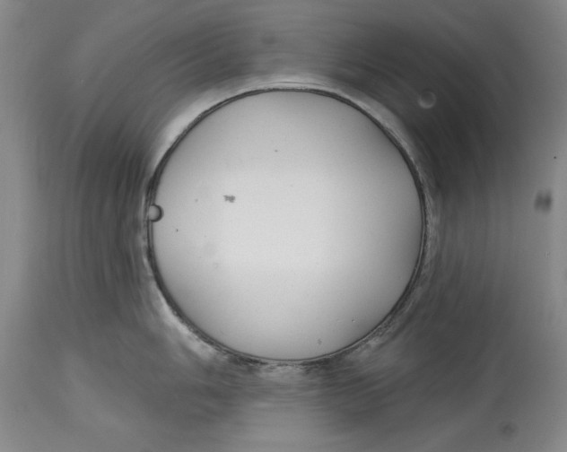 X0000114691006200911121514