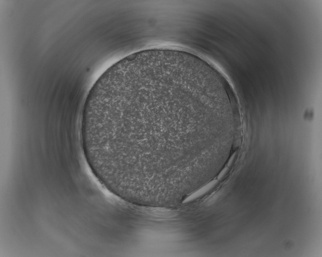 X0000114691007200911121514