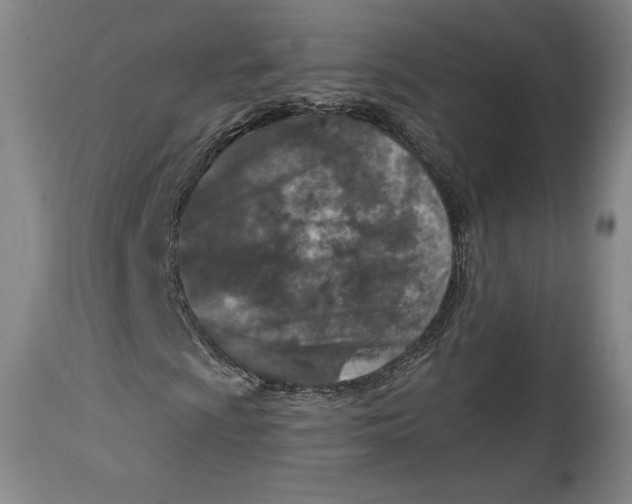 X0000114691009200911121514