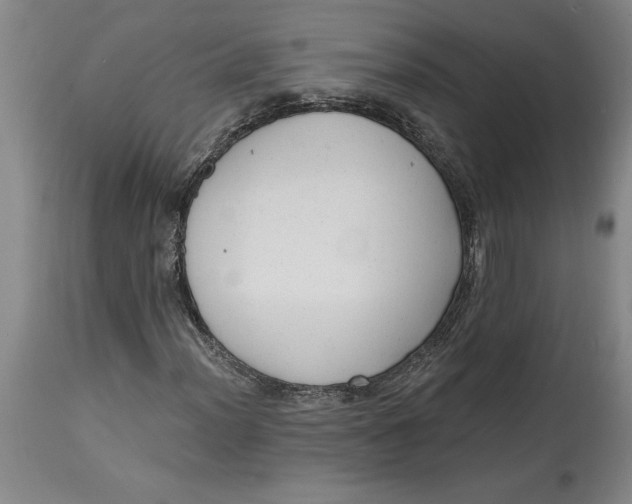 X0000114691012200911121514