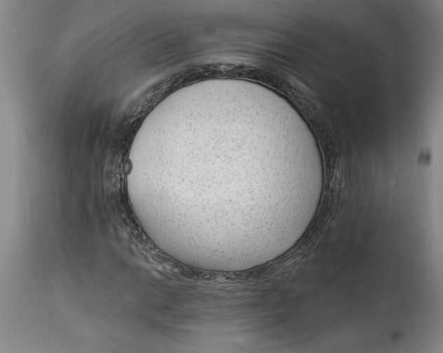 X0000114691014200911121514