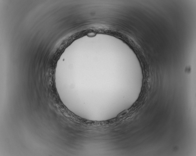 X0000114691016200911121514