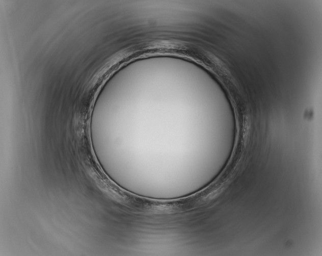 X0000114691017200911121514