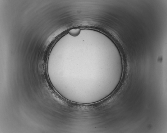 X0000114691018200911121514