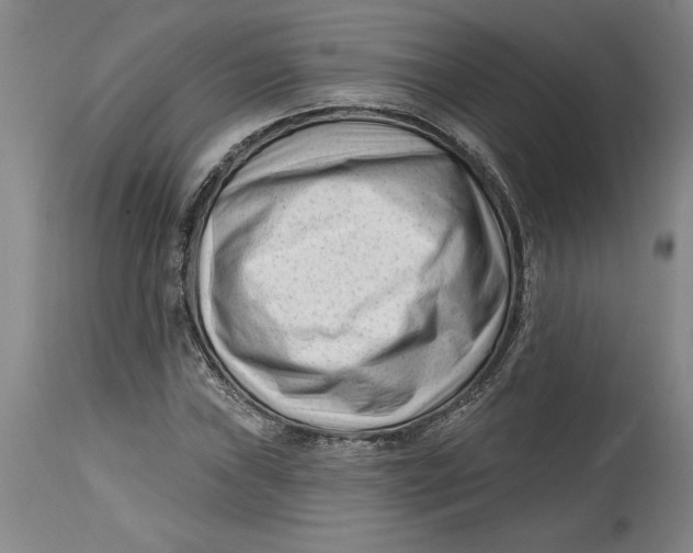 X0000114691019200911121514