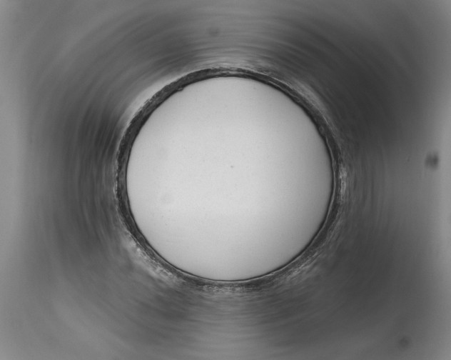 X0000114691020200911121514