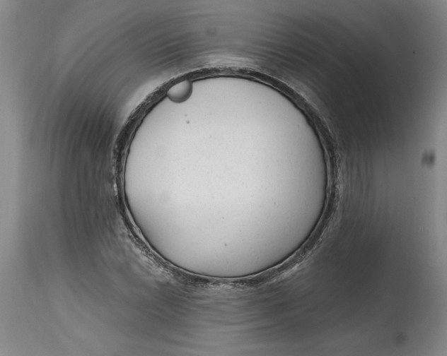 X0000114691022200911121514