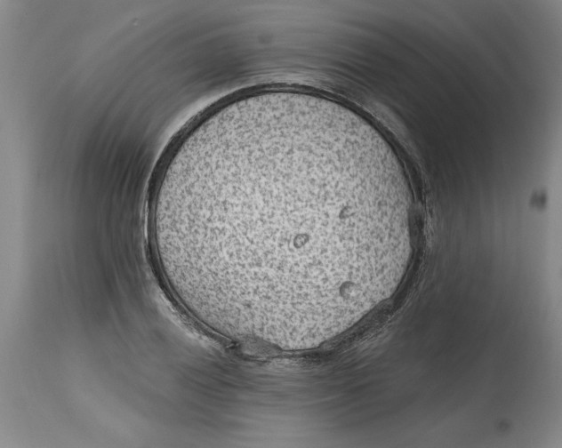 X0000114691028200911121514