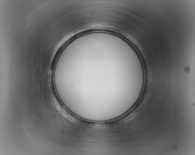 X0000114691029200911121514