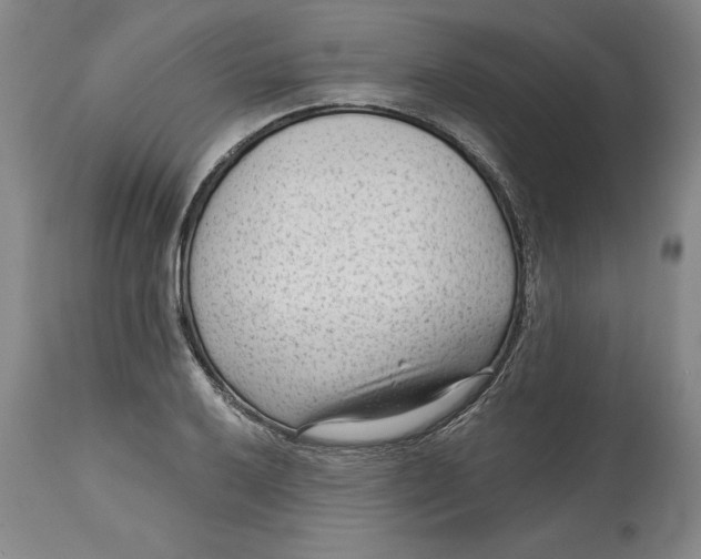 X0000114691032200911121514