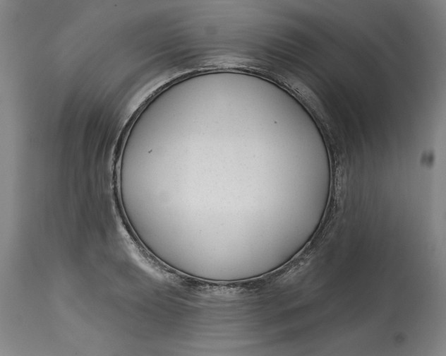 X0000114691039200911121514