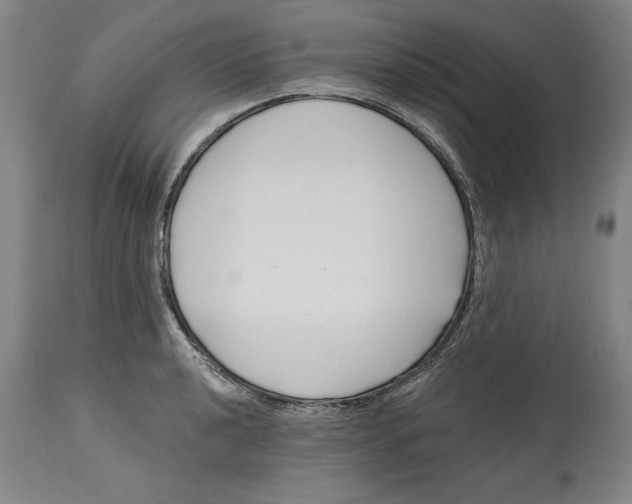 X0000114691040200911121514