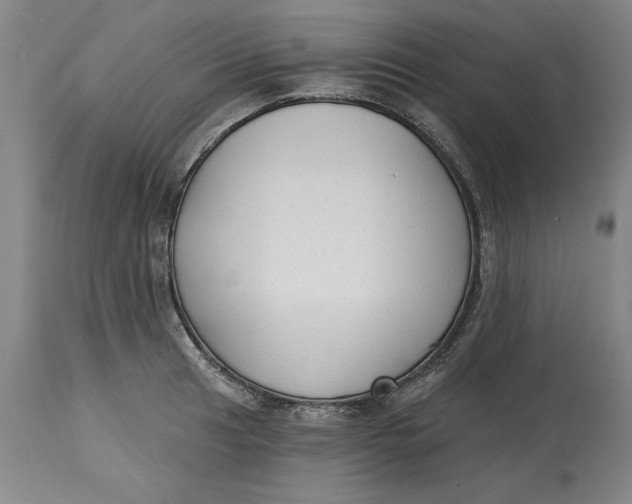 X0000114691041200911121514