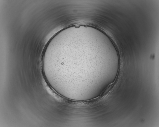 X0000114691042200911121514