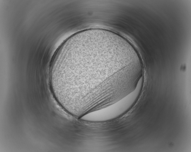 X0000114691048200911121514