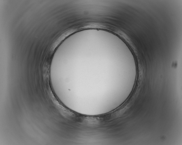 X0000114691049200911121514