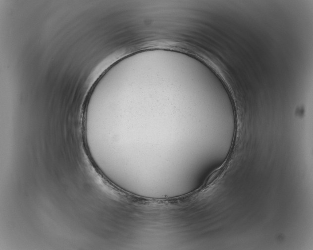 X0000114691050200911121514