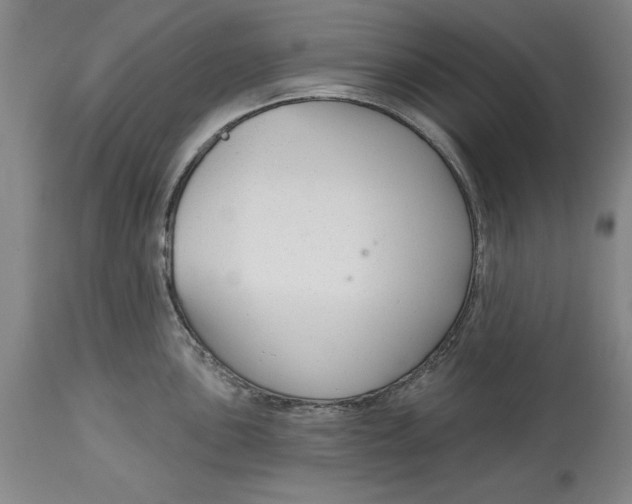 X0000114691051200911121514