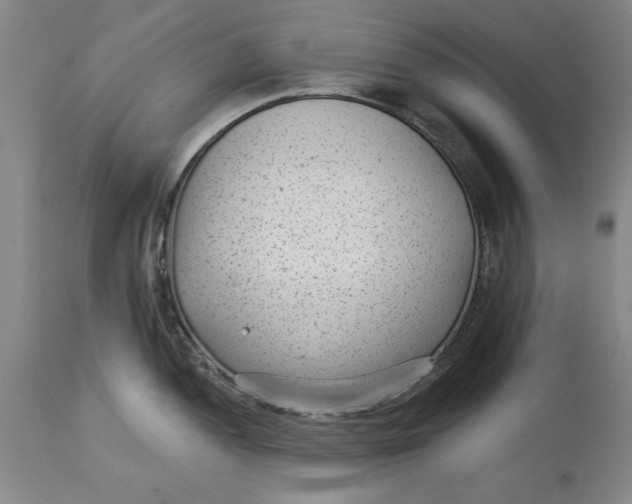 X0000114691052200911121514