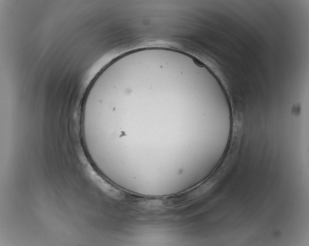 X0000114691054200911121514