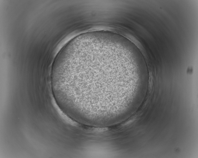 X0000114691055200911121514