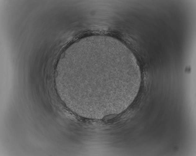 X0000114691057200911121514