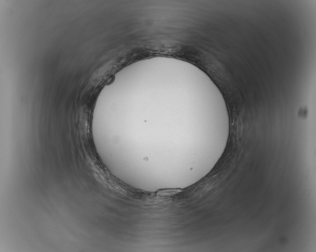 X0000114691058200911121514