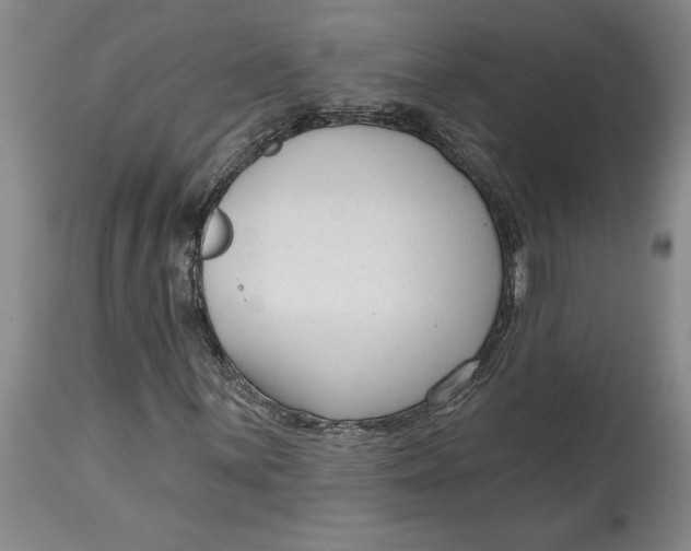 X0000114691059200911121514