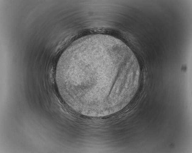 X0000114691060200911121513