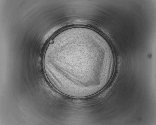 X0000114691066200911121513