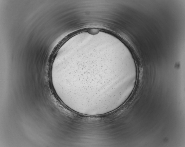 X0000114691068200911121513