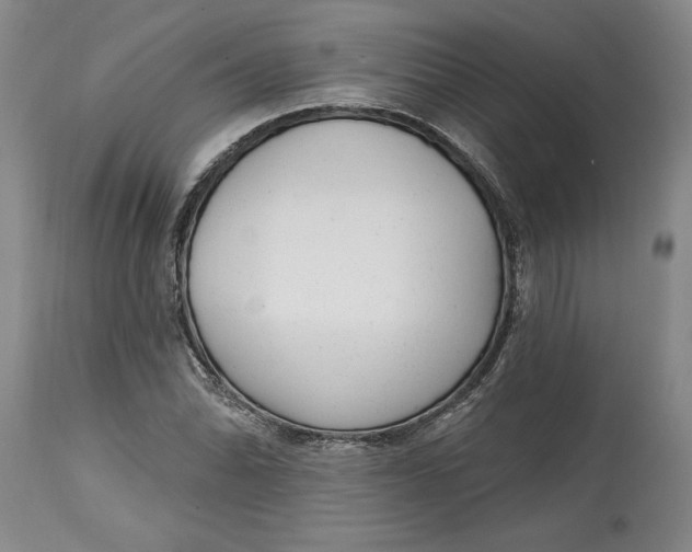 X0000114691070200911121513