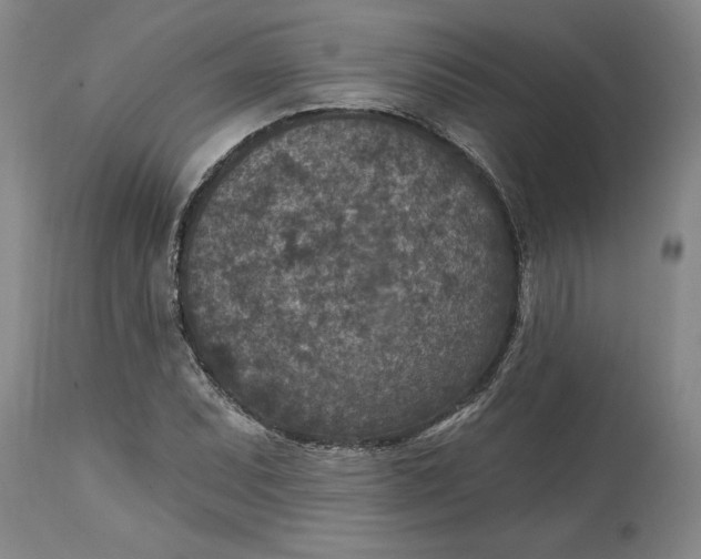 X0000114691071200911121513