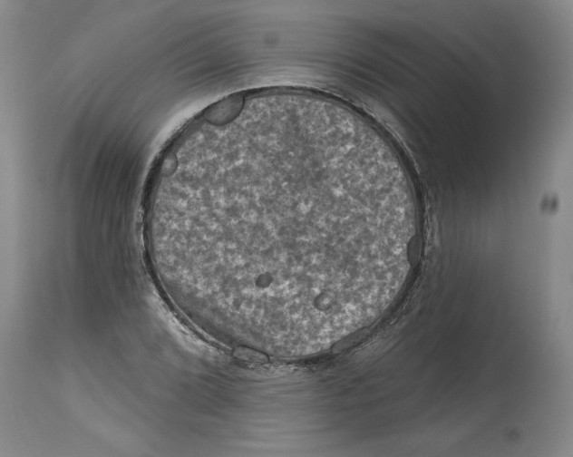 X0000114691072200911121513