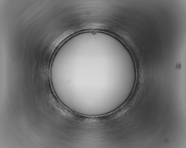 X0000114691073200911121513