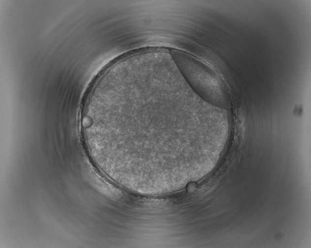 X0000114691076200911121513